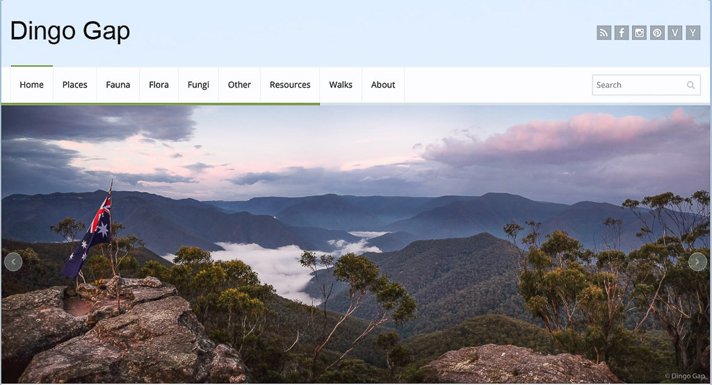 The Dingo Gap Landing Page